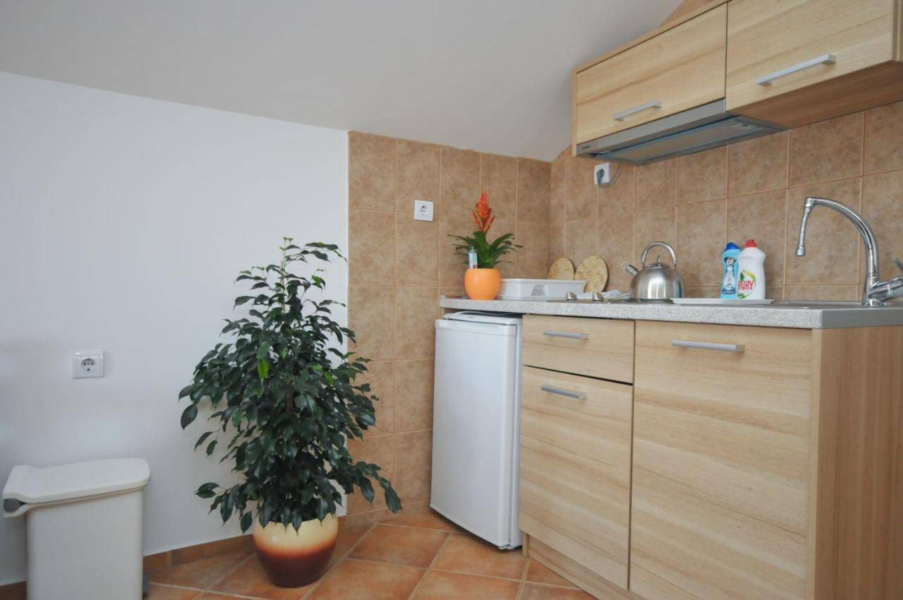 Tilia Budva