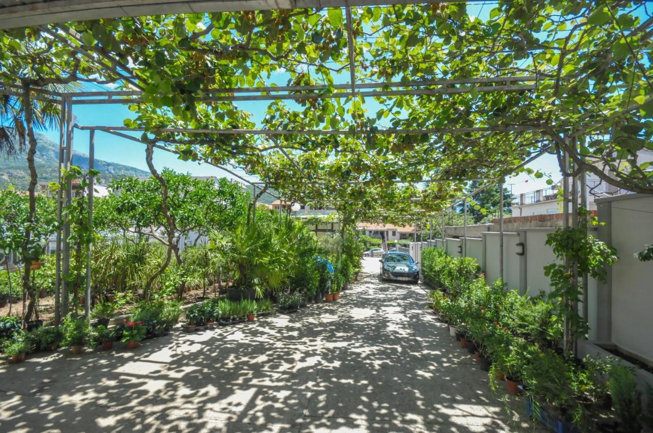 Apartment Tilia Budva